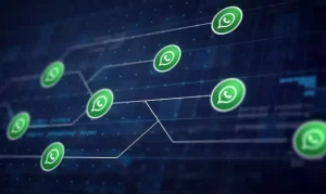 Whatsapp business API