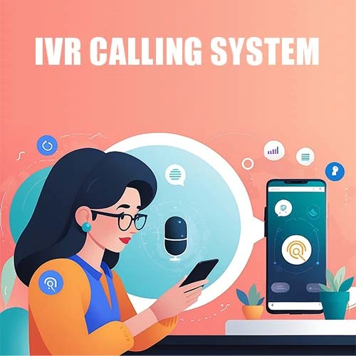 IVR system section1